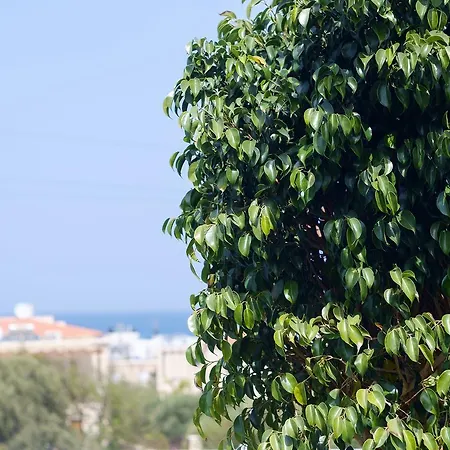 Chill And Relax In A With Pool Near The * Almirida